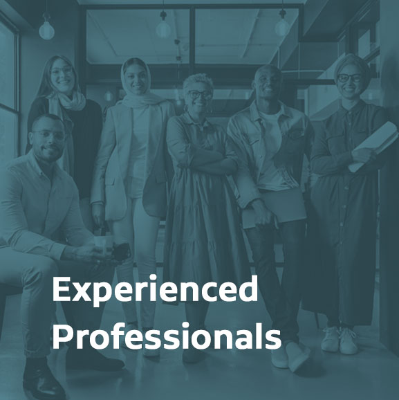 Experienced Professionals